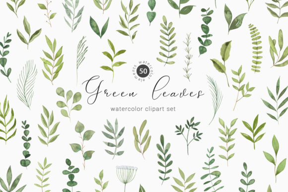 Download Watercolor Greenery Botanical Clipart - Green Collection